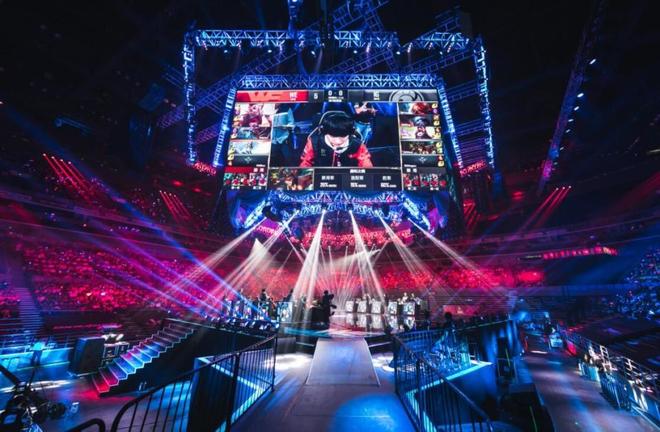 展示了多元 展示了多元