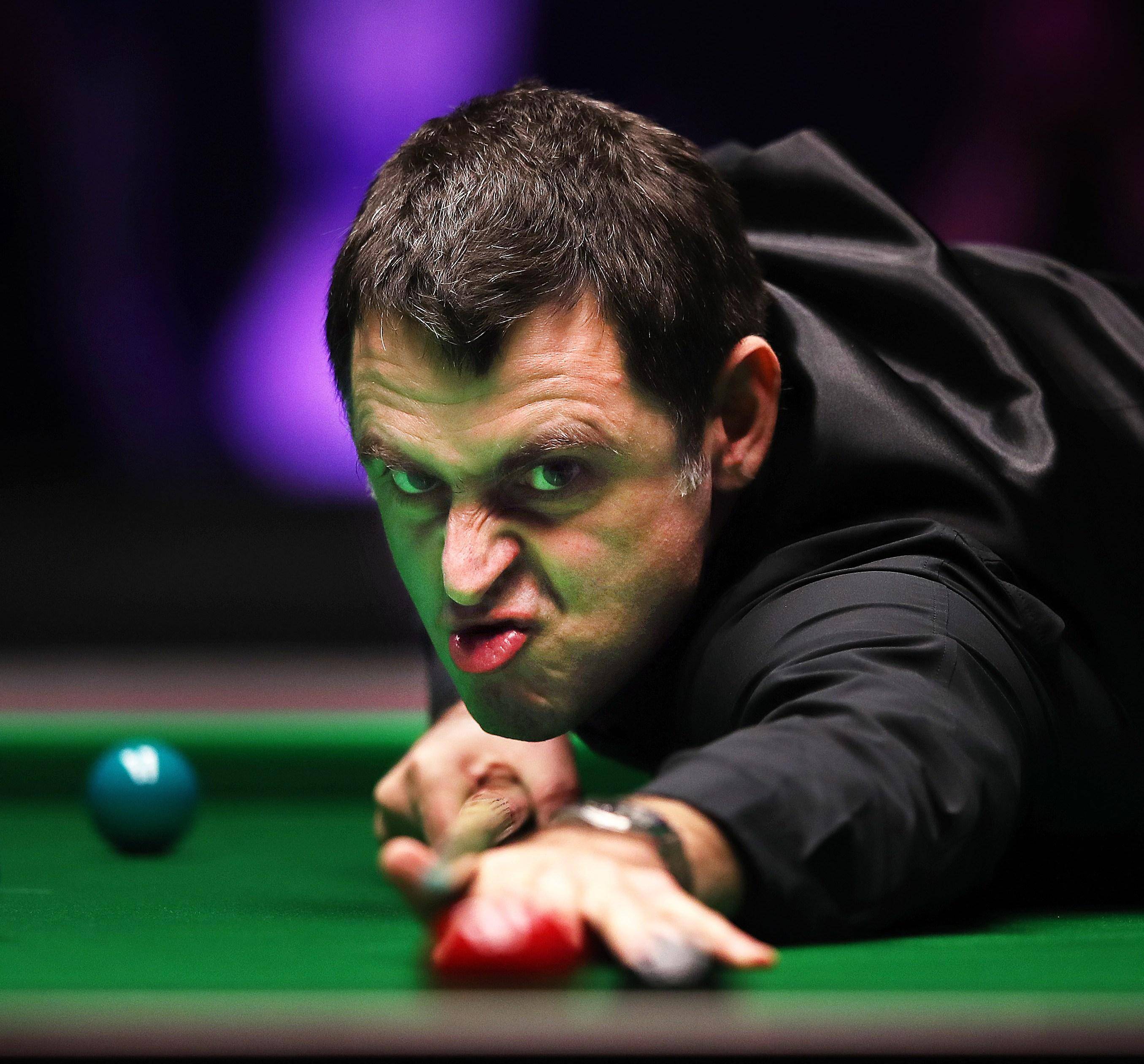 甲官网信息 甲官网信息