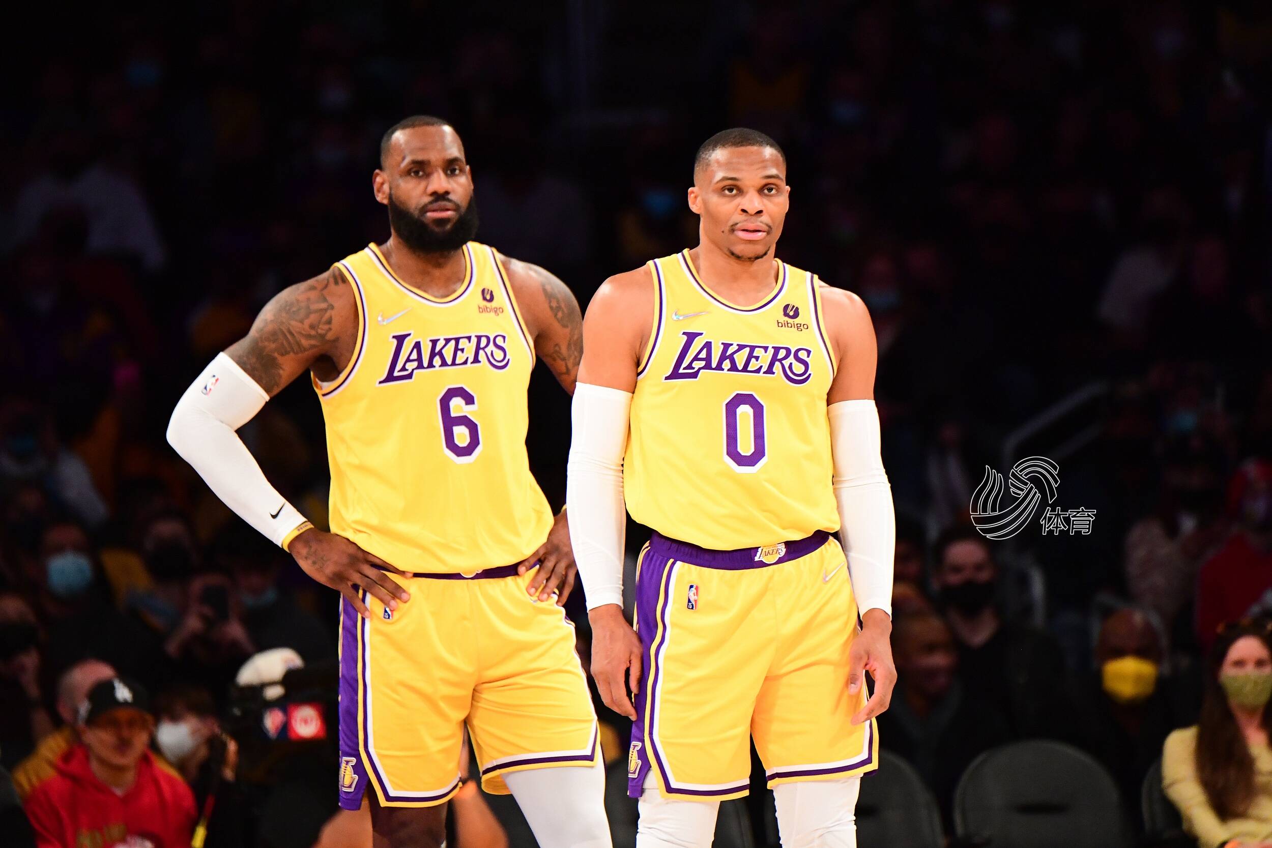 ne的案例 ne的案例